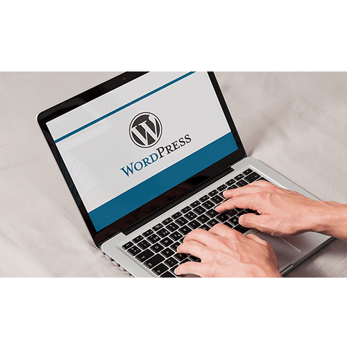 Wordpress Hizmetleri